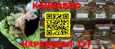 амф Кингисепп