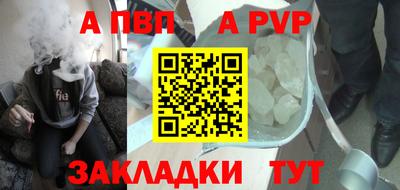 амф Кингисепп