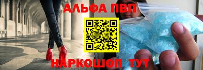 амф Кингисепп