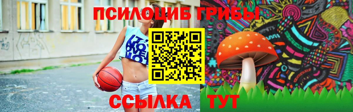 Псилоцибиновые грибы ЛСД Красноярск